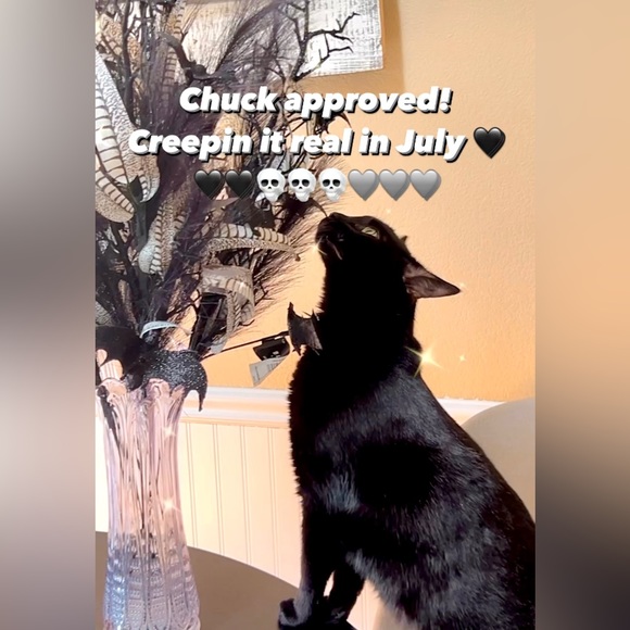 NEW! Creepy Black Bats With Branches And Feathers Floral Picks Spooky Halloween - Picture 2 of 8